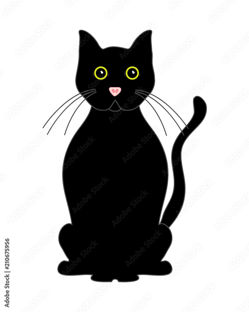 black cat black cat
