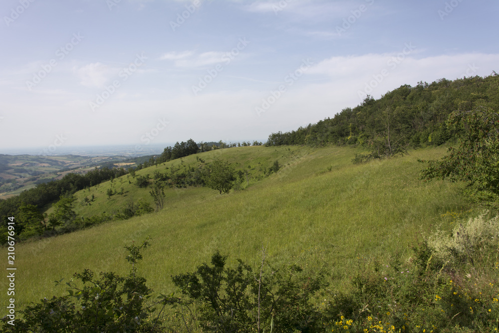 Panorama