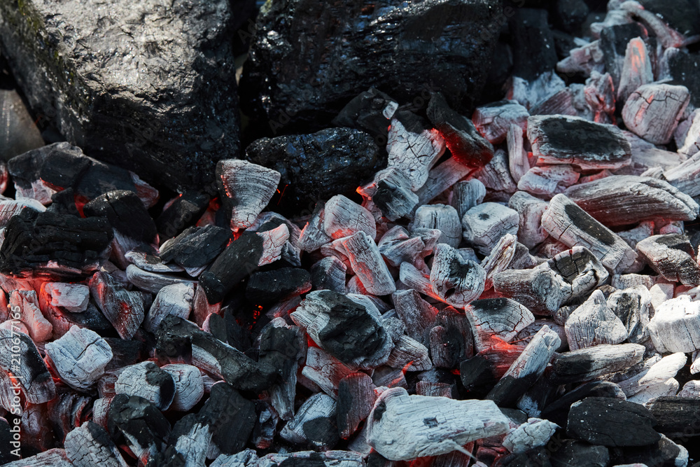 Orange wild fire burning on black coal and ash, prepared for barbecue grill