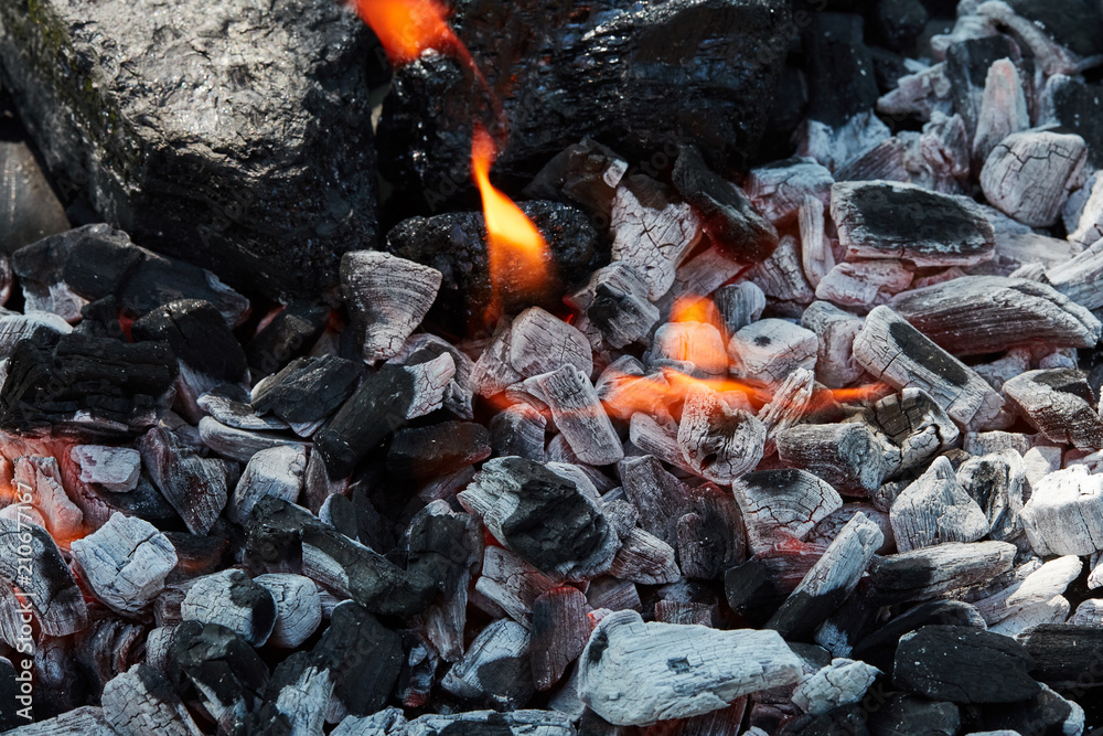 Orange wild fire burning on black coal and ash, prepared for barbecue grill Orange wild fire burning on black coal and ash, prepared for barbecue grill