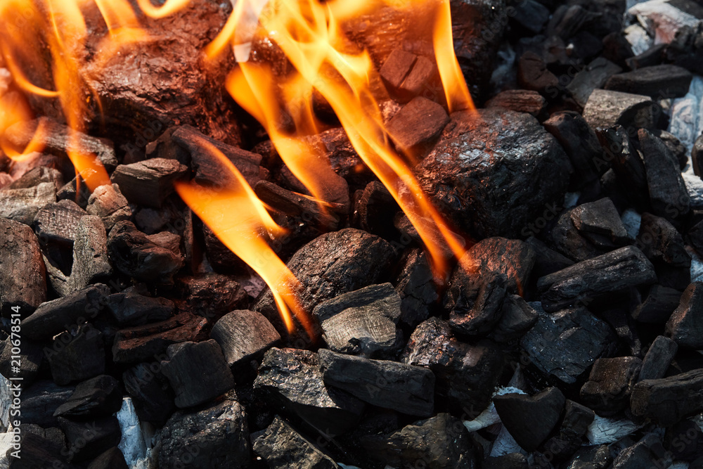 Orange wild fire burning on black coal and ash, prepared for barbecue grill Orange wild fire burning on black coal and ash, prepared for barbecue grill