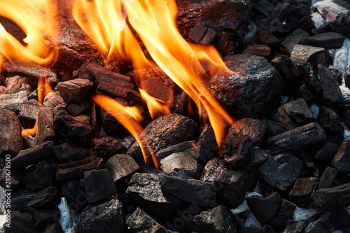Orange wild fire burning on black coal and ash,  photo