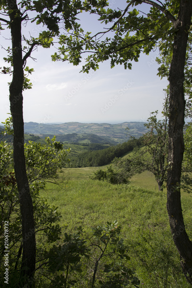 Panorama