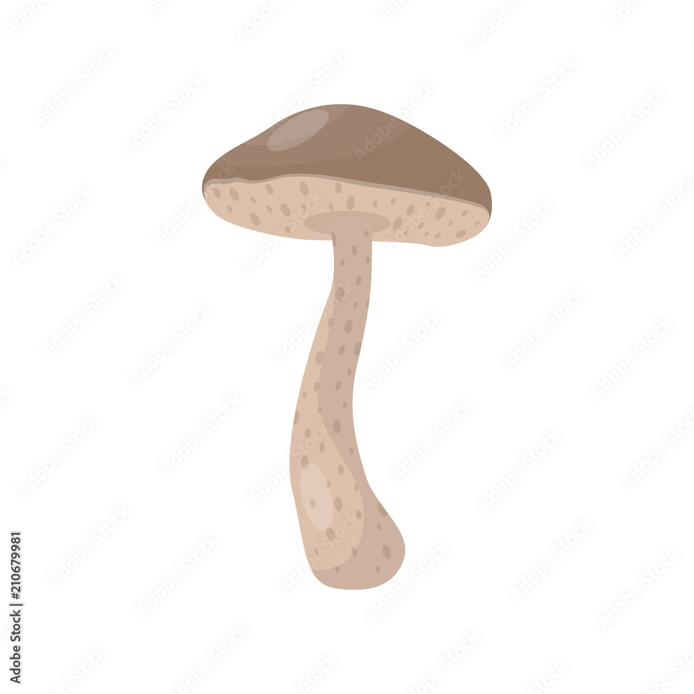 Flat vector icon of brown cap boletus or leccinum mushroom. Cooking ingredient. Forest fungus. Edible natural product Flat vector icon of brown cap boletus or leccinum mushroom. Cooking ingredient. Forest fungus. Edible natural product