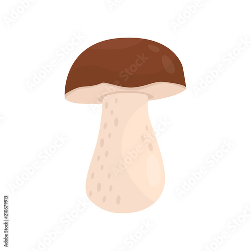 Boletus or porcini mushroom with brown cap. Forest delicacy. Cooking ingredient. Flat vector element for book or poster