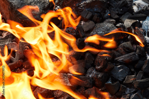 Orange wild fire burning on black coal and ash, prepared for barbecue grill