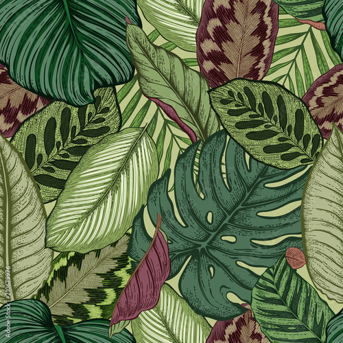 Seamless pattern with tropical leaves. Vector illustration.