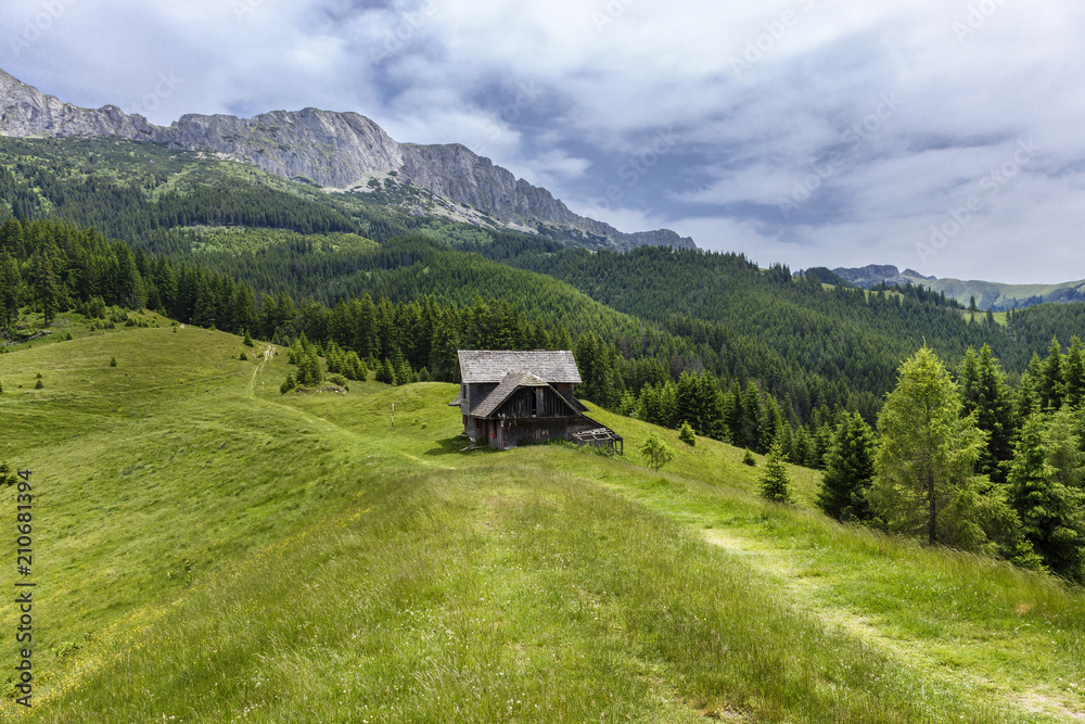 Fototapeta premium Daylight sunny view to landscape with green meadow and mountains in Romania
