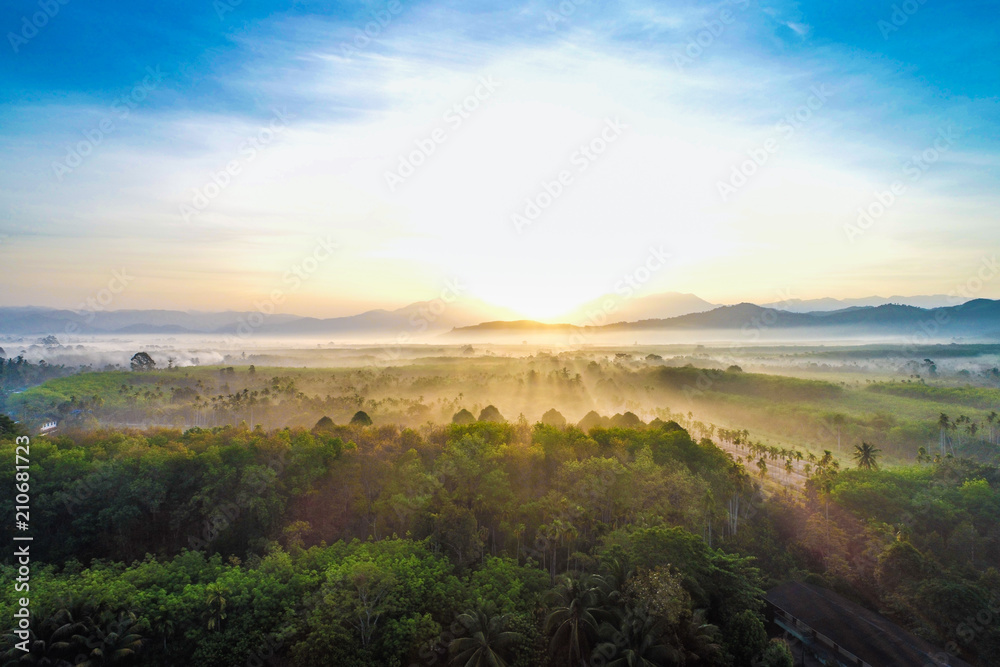 Landscape morning sunrise tropical forest with fog Landscape morning sunrise tropical forest with fog