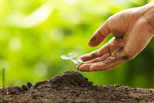 Hand touching leaf of seedling by gentle and care, Environment conservation, reforesting and Development Concept photo