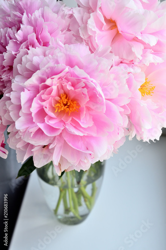 Fototapeta Naklejka Na Ścianę i Meble -  Fresh bouquet of pink peonies peony roses flowers in a vase on white window, background. White table. White wallpaper. White decor. Flowers in the room.