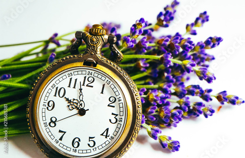 Vintage fancy pocket watch and bunch of lavender flower. Time to pick up lavender harvest concept.