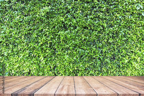 Wood plank with abstract natural green leaves background