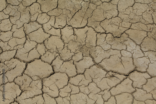 terre craquelée à cause de la sécheresse