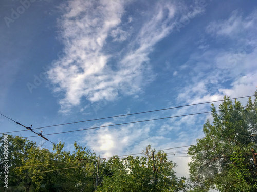 Cloudy sky above tram wires and trees