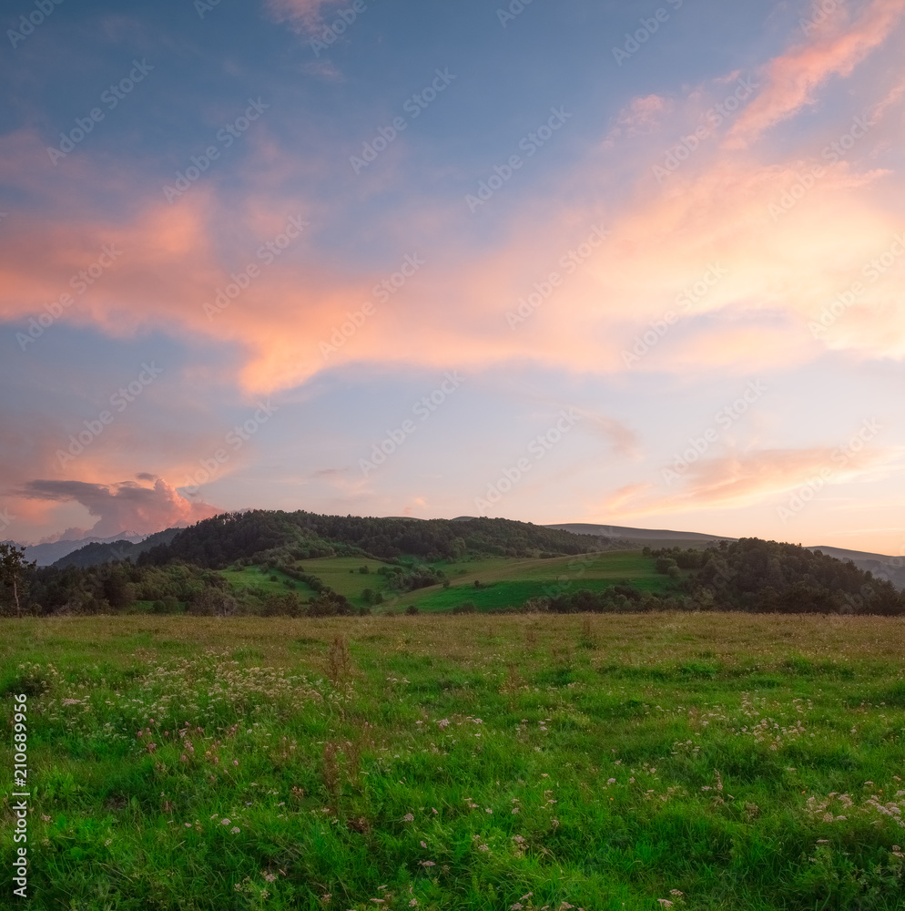 dense evening pink clouds in the sky above the green fields with forest and mountains, picture screensaver