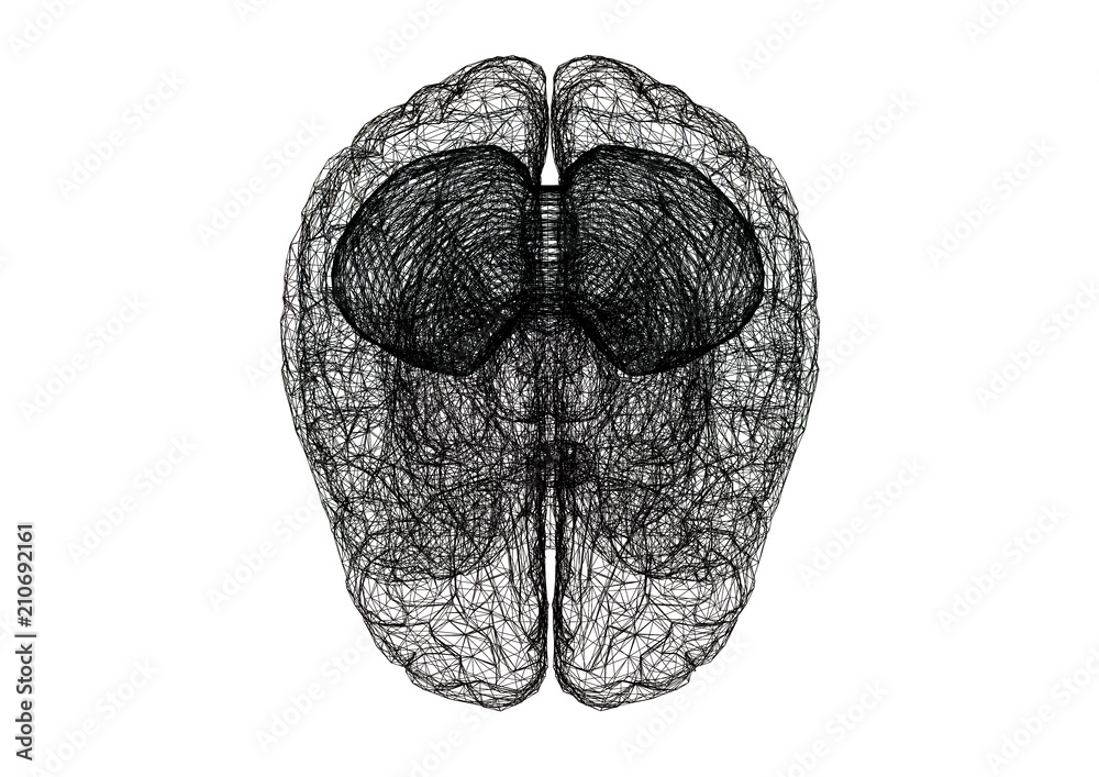 Naklejka premium Brain Sketch – Blueprint - isolated
