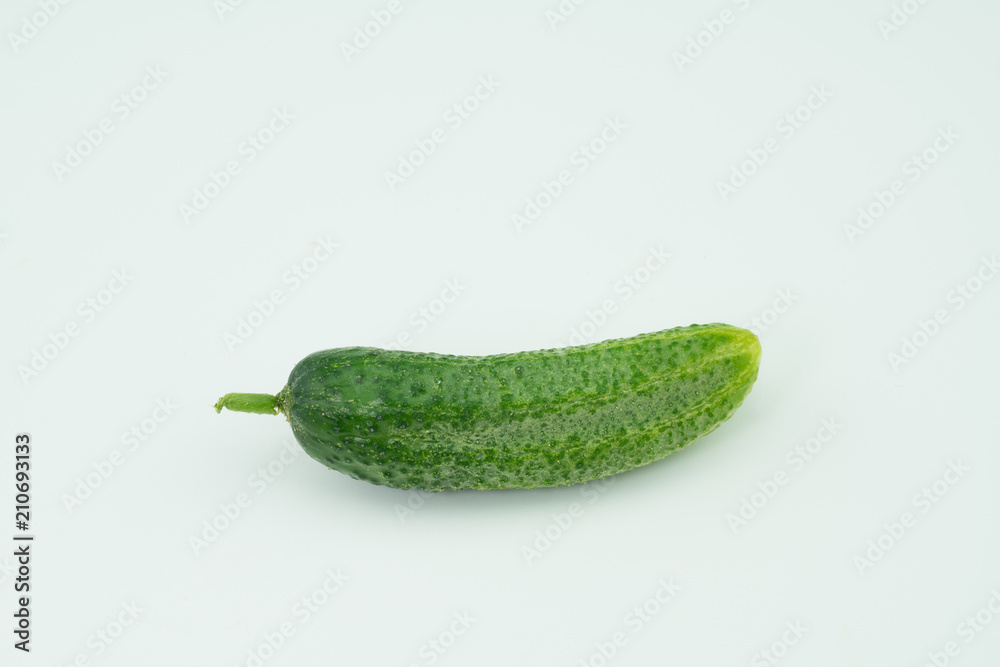 Fresh harvested homegrown cucumber from my garden isolated on white background Fresh harvested homegrown cucumber from my garden isolated on white background