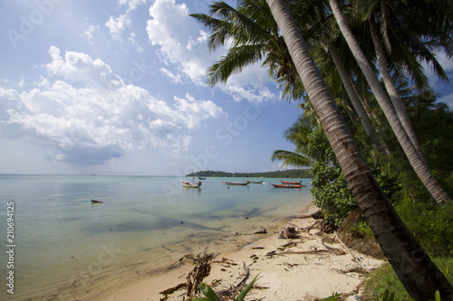 Ile tropicale paradisiaque