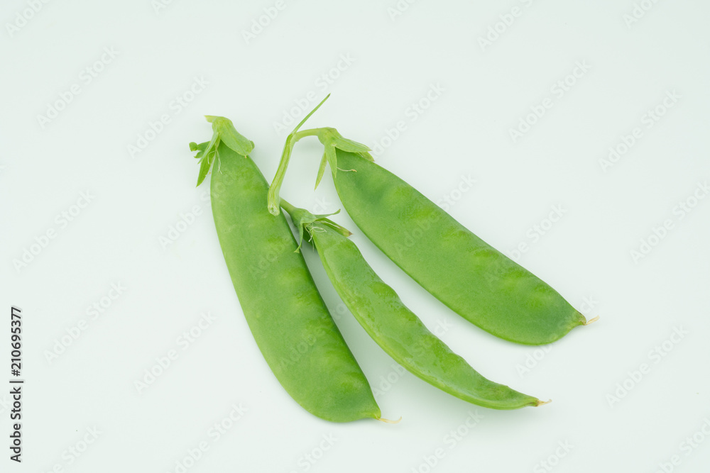 Fresh harvested Snow pea (Pisum sativum var. saccharatum) also known as mangetout organical grown in my garden isolated on white background Fresh harvested Snow pea (Pisum sativum var. saccharatum) also known as mangetout organical grown in my garden isolated on white background