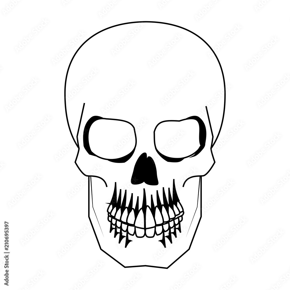 Fototapeta premium Human skull drawing vector illustration graphic design