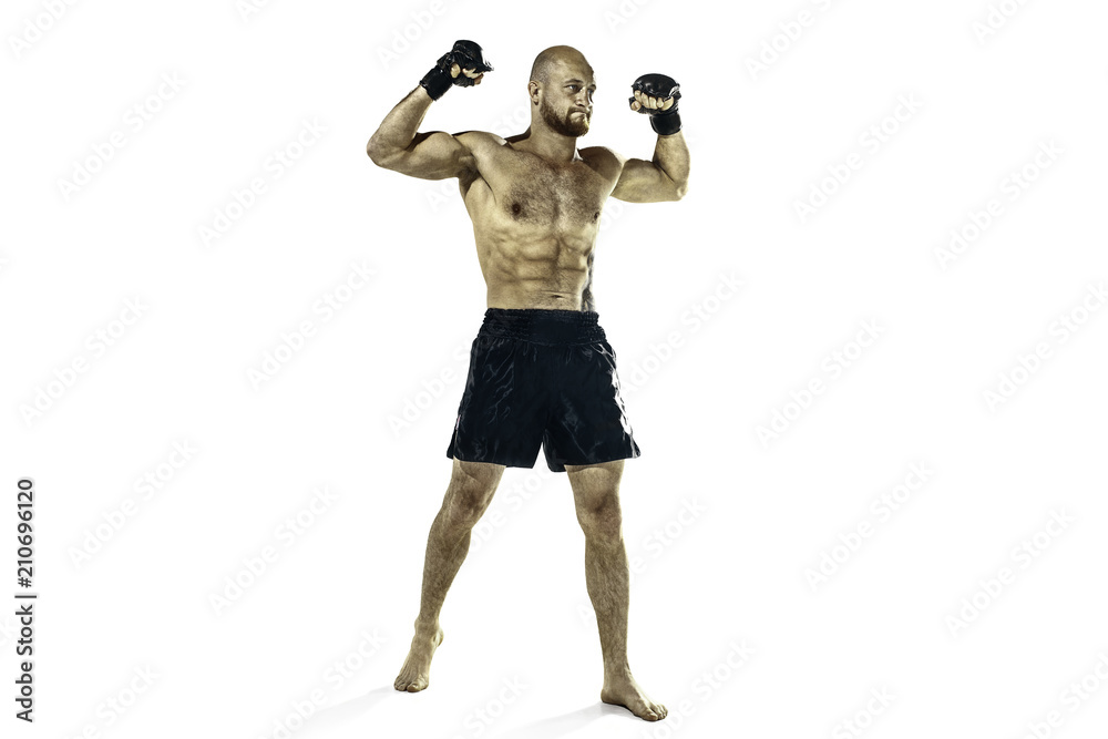 professional boxer boxing isolated on white studio background professional boxer boxing isolated on white studio background