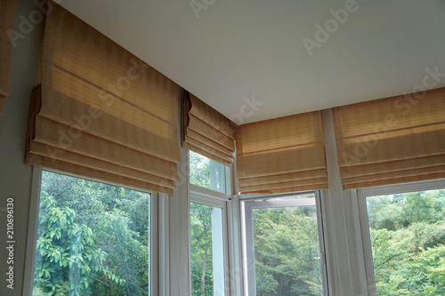 brown roman blind shade curtain and shadow tree forest mountain background