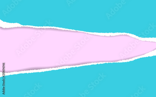 Ripped paper. Vector of ripped paper. the paper was ripped background.