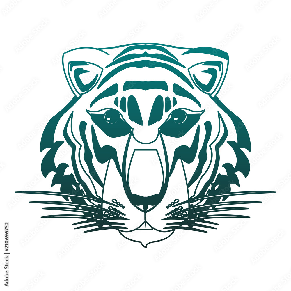 Beautiful tiger head vector illustration graphic design