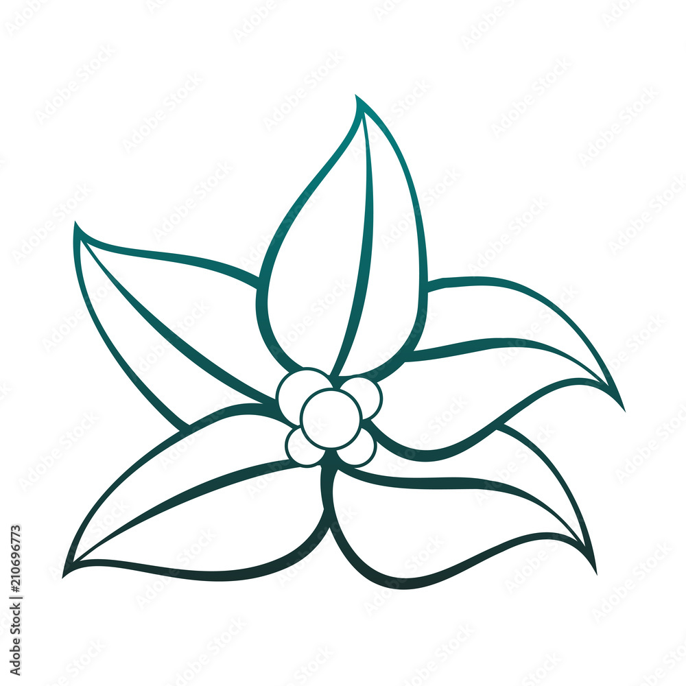 Beautiful flowers isolated vector illustration graphic design Beautiful flowers isolated vector illustration graphic design