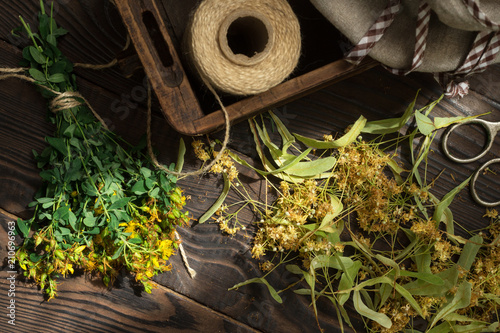 Drying medicinal plant tutsan