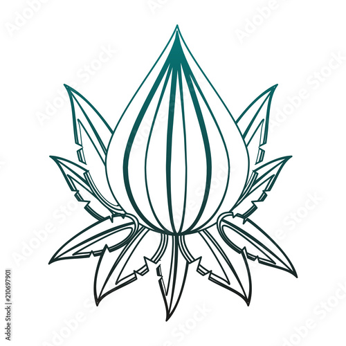 Lotus flower symbol vector illustration graphic design