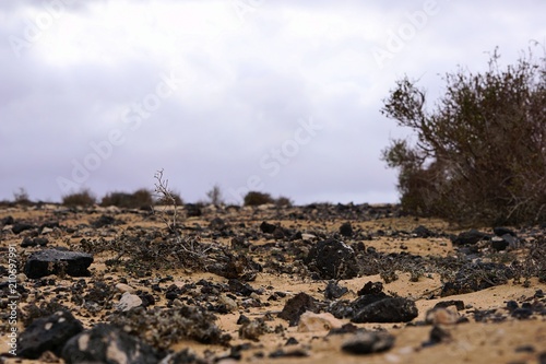 großer Fels mit sand und steinen in der wüste 