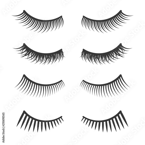 Lashes Set on White Background. Vector