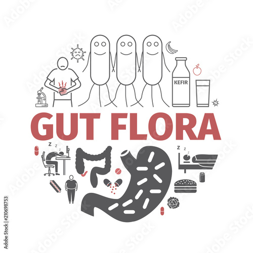 Gut flora banner. Line icons set. Vector signs