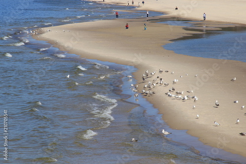 Menschen und Möwen am Strand von Miedzyzdroje in Polen photo