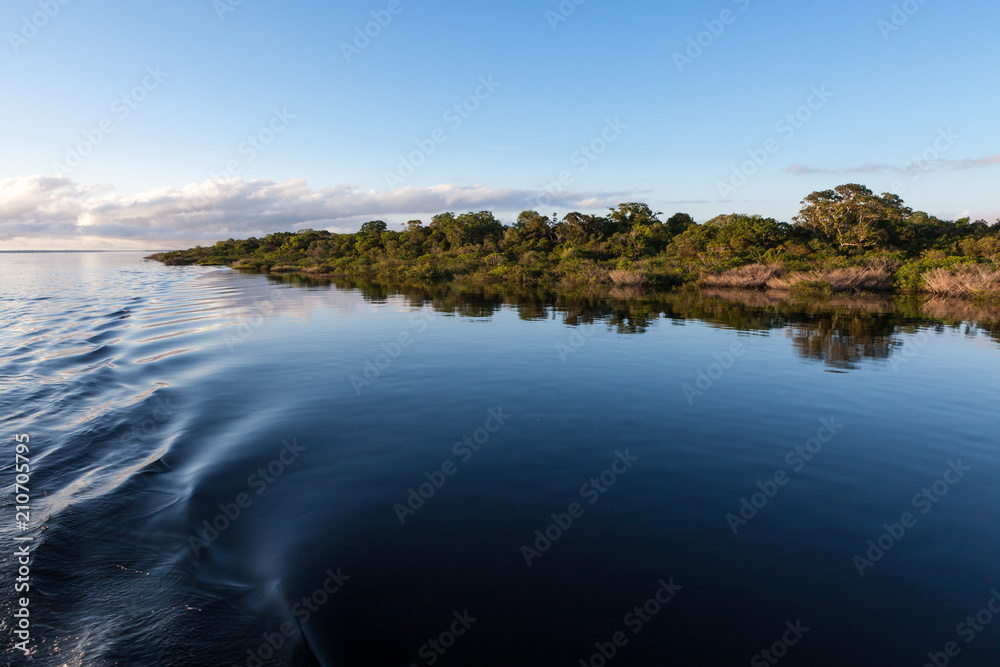 Amazonas, Brazil - River bank in the Amazon rainforest with dark waters of Negro river reflecting blue sky and vegetation on a sunny day.