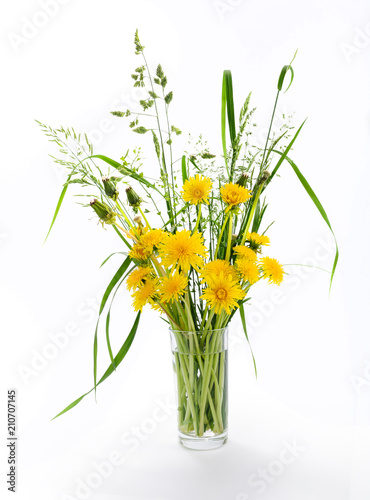 Yellow and half-blossoming dandelions and meadow grass in glass vase on white background