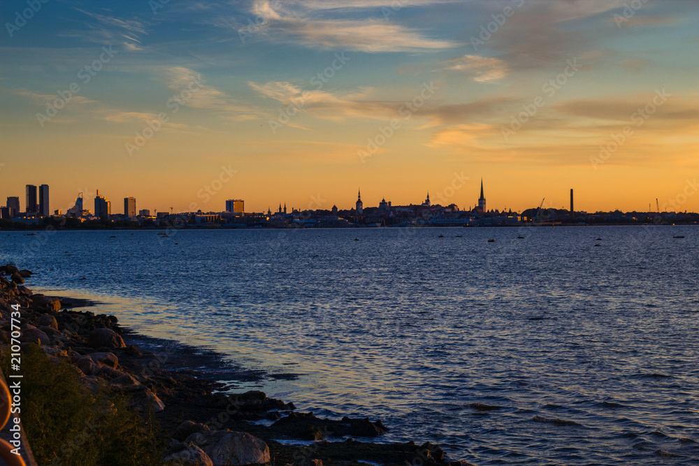 Fototapeta premium Summer night city