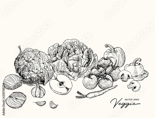 Set of Veggetables and fruit, hand draw sketch vector.