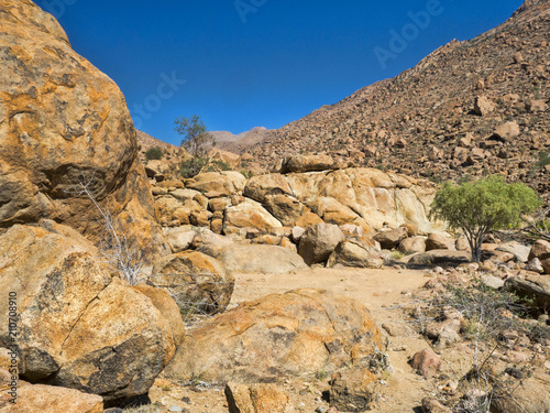 Brandberg National Heritage Site, Namibia © vladislav333222