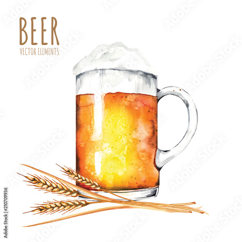 Watercolor elements on the theme of beer. Beer glass, hops, malt.