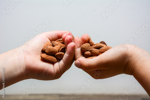 Salted roasted almonds in children's hands in the kitchen with a white wall and natural light. Children show the required daily amount for intake into the body. Children's arms with nuts in close prox