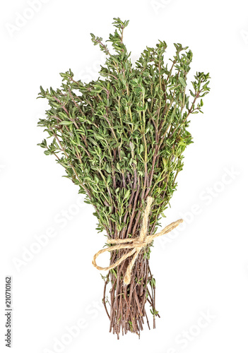 Bunch of fresh thyme herb on white background