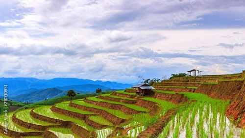 Timelapse of Rice terraces at Pa Pong Pieng in Mae Chaem district, Chiangmai province of Thailand photo