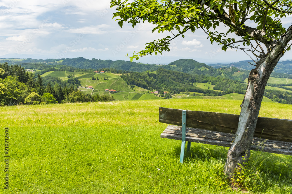 Bench on meadow with view to south styrian wine route Bench on meadow with view to south styrian wine route