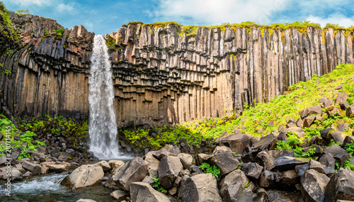 Wonderful and high Svartifoss waterfall with black basalt columns on South Iceland photo