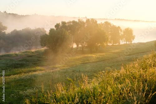 Туман на траве и реке, в деревьях в лучах восходящего солнца на рассвете. Лучи солнца на траве.