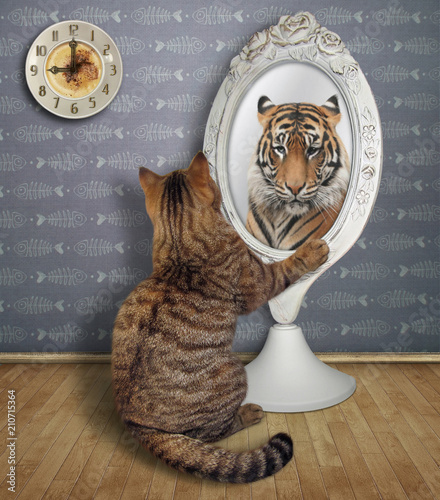Konstfotografi The cat sits near the mirror and looks at his unusual reflection in the room