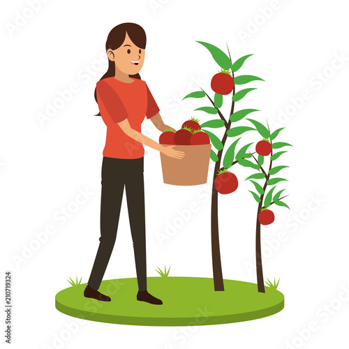 Woman with tomatos harvest vector illustration graphic design